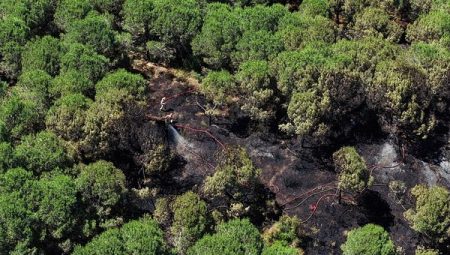 İstanbul’da Yangın Alarmı: Sultangazi ve Büyükçekmece’de Orman Alevleri